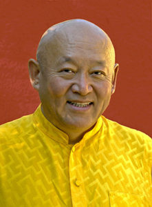 His Holiness Drikung Kyabgon Chetsang, Lineage Leader